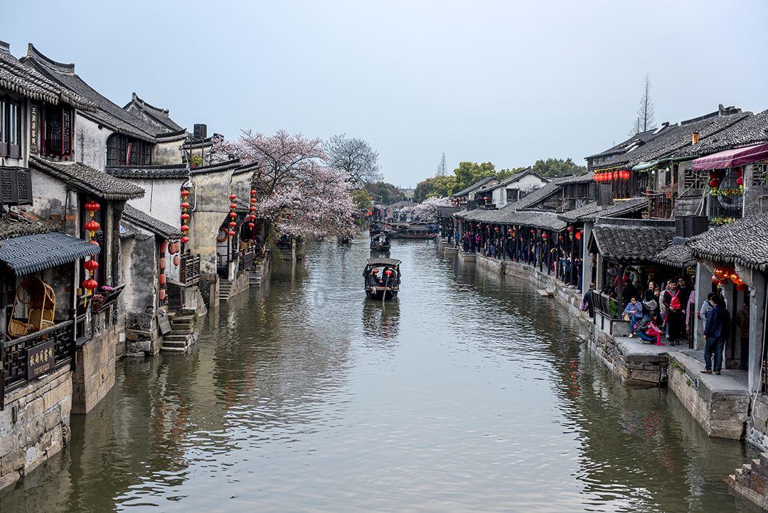 僵尸过人行道